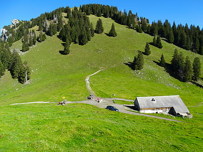 Alm, cabana alpina, bergalp, sela alpina, colina, sopé dos Alpes, alpwirtschaft