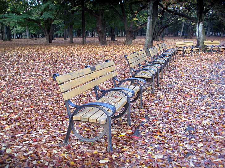 Скамейки парковые, скамейки, Парк, Отдых, Осень, листья, Осенние листья
