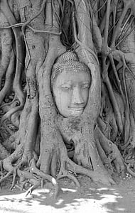 ayutthaya, buddha, buddhism, asia, face, temple, rest