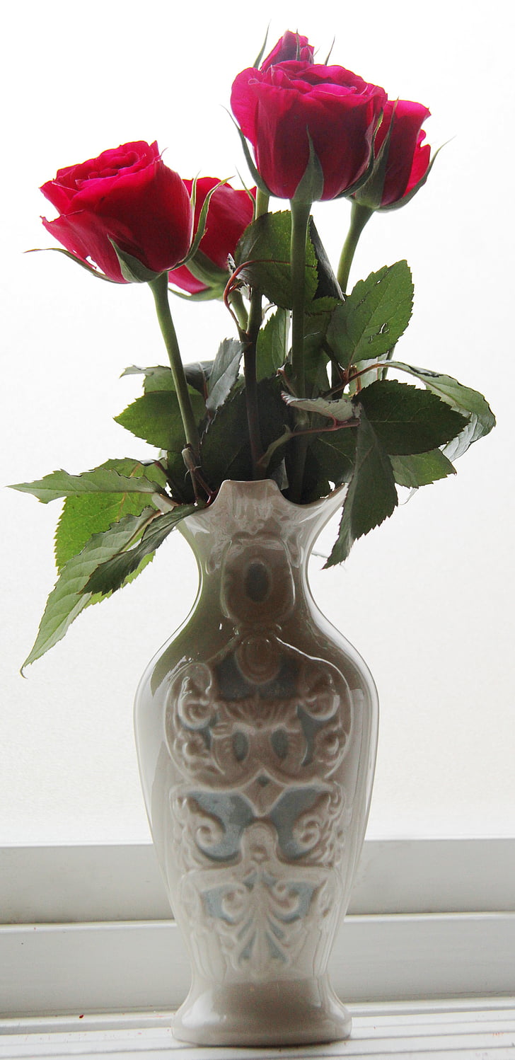 ROS, Rosen, Vase, rote Blume, Blume, rote rose, Blumen