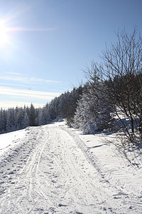 invierno, nieve, en los Beskides, Pustevny, Frost, montañas, naturaleza