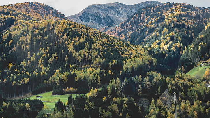 landscape, photography, mountain, highland, trees, plants, forest