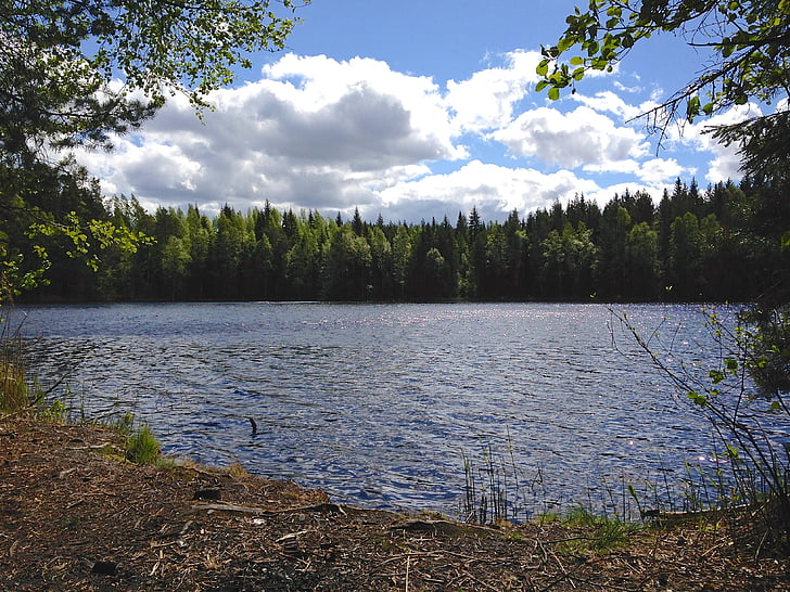 Göl, Finlandiya, Fince, doğa, su, İskandinavya, gökyüzü