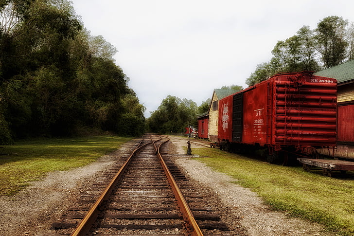goodspeed, connecticut, boxcars, railroad, railway, trains, trees