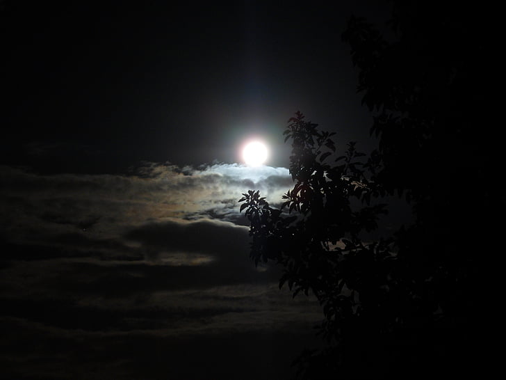 månen, lysstyrke, natt, mørk