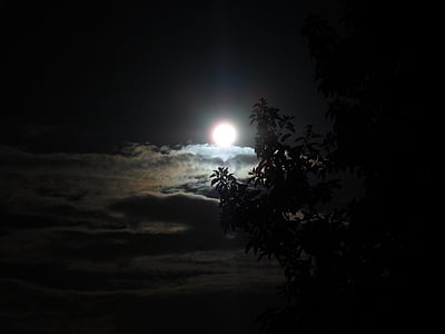 Månen, lysstyrke, nat, mørk