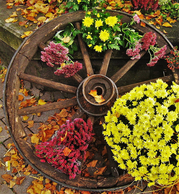 old wagon wheel, herbstdeko, farmer's market, autumn, plant, time of year, autumn colours