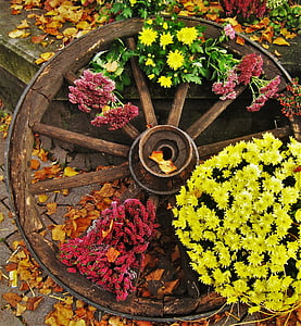 old wagon wheel, herbstdeko, farmer's market, autumn, plant, time of year, autumn colours