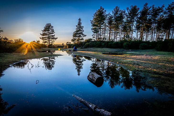 tree, sunset, nature, landscape, reflection, water, scenics