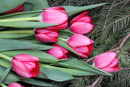blomster, Tulipaner, Pink, posy, forår, natur, lyserød farve