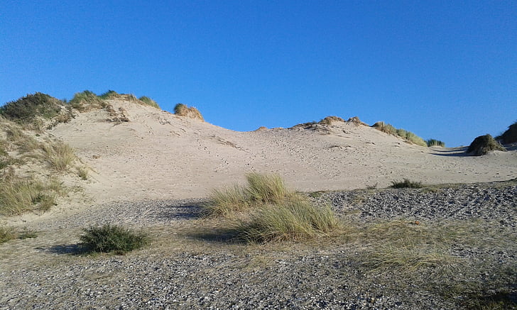 dune, holiday, wild
