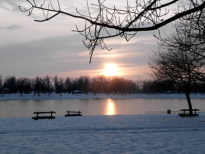 冬天, 湖, 日落, 景观, 感冒, 赛季, 户外