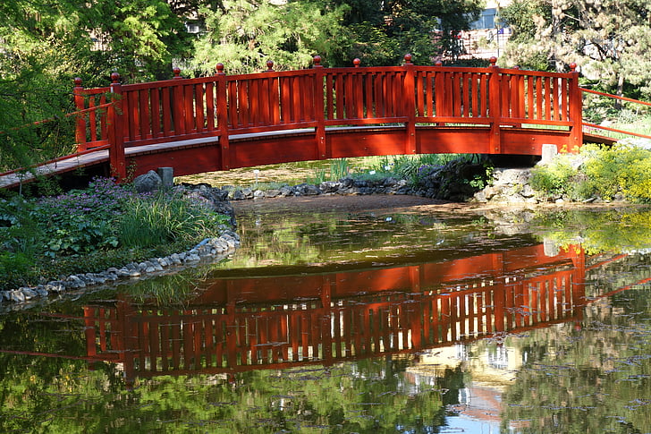 wooden, bridge, arhitecture, water, reflexion, park