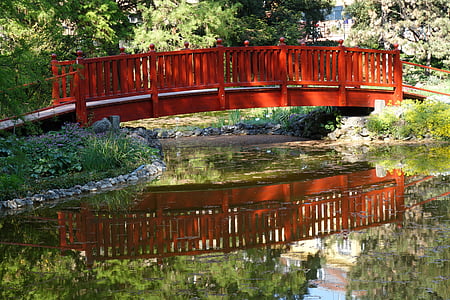 drveni, most, arhitektura, vode, refleksije, parka