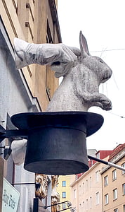 trolla, Hare, magiskt trick, kanin i hatten, cylinder, Hauswanden, magi shop