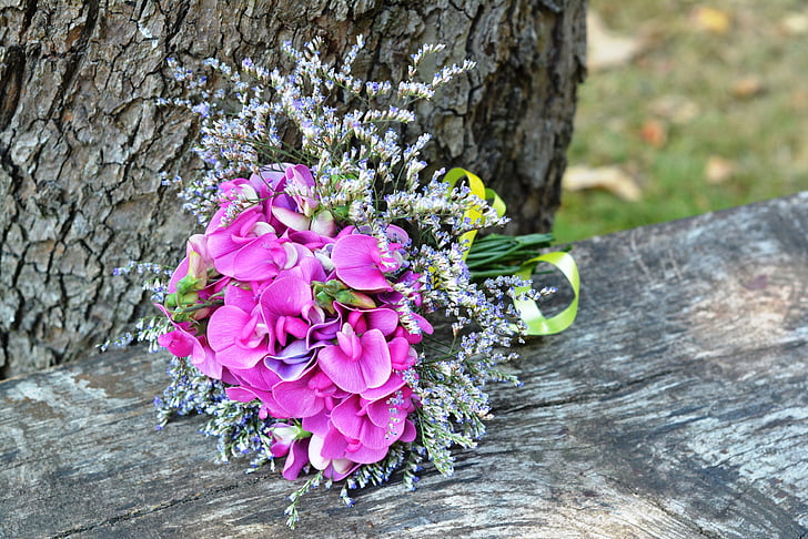 boeket, een kleine bos, sweet pea geurende, Lathyrus odoratus, roze, natuur, bloem