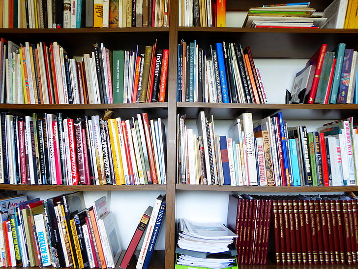 boeken, boekenplank, plank, lezing, collectie, onderwijs, weten
