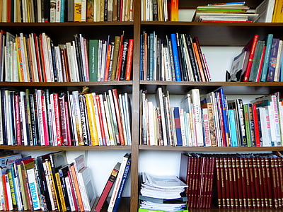 books, bookshelf, shelf, reading, collection, education, know
