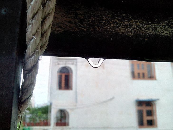 raindrop, drop, after rain, water, wet, close, weather