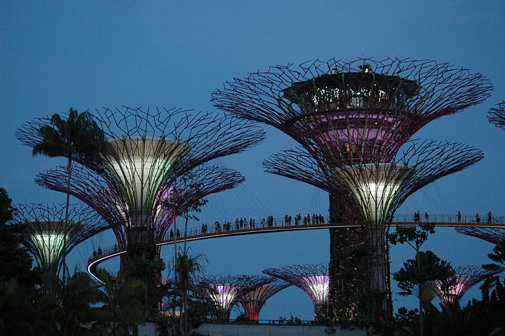 jardins de Singapura, atração, árvores, Parque