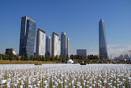 Songdo incheon Corea, edificio, parque central de Songdo, Parque, agua de mar 0 ganado