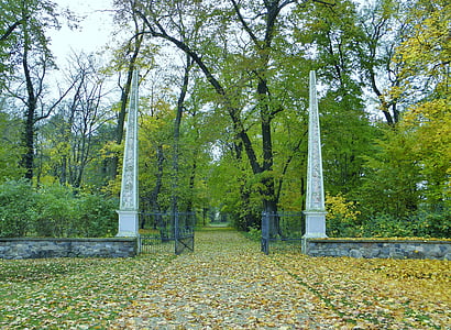 Park, vstup, cieľ, stĺpovitý, stromy, jeseň, strom