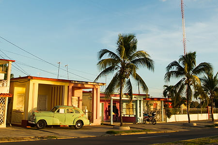 キューバ, 車, パーム, ビュー, レトロ, 観光, 旅行