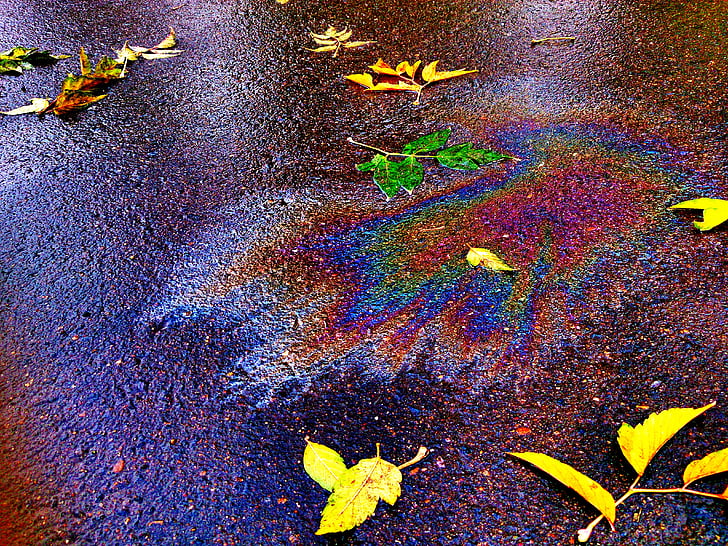 autumn, leaves, fall colors, gasoline, spot, multi colored, oil spill
