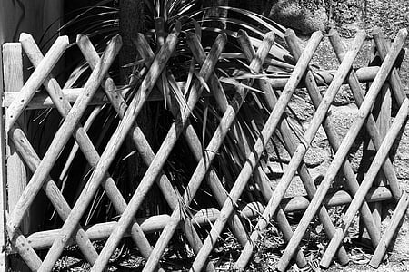 barrera, bambú, protección, blanco y negro, madera