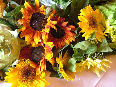 bunga matahari, Tampilkan, kuning, bunga, alam, musim panas, tanaman