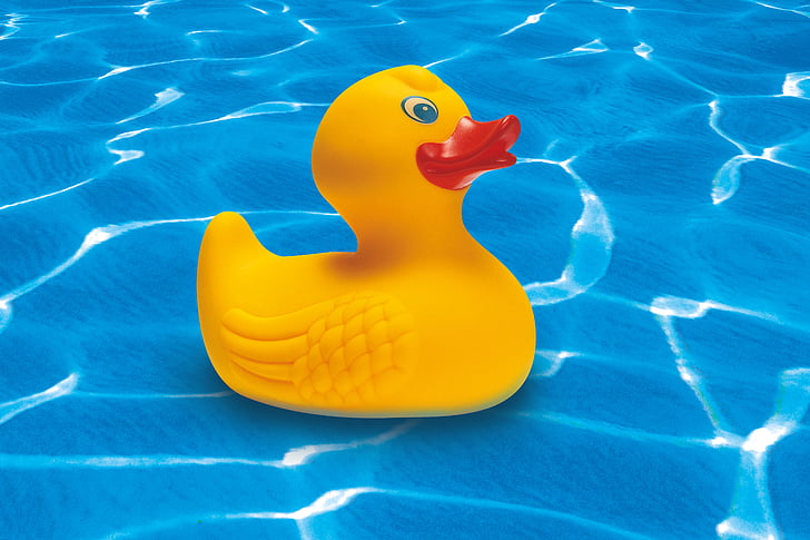 rubber duck, squeak duck, yellow, toys, toy duck, summer, holiday