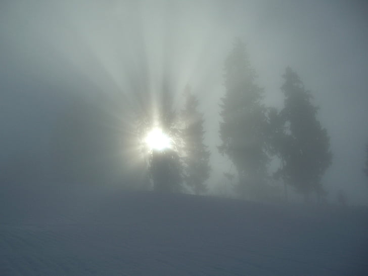 Kış, sis, gri, ağaçlar, Sunbeam, Allgäu