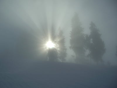 vinter, tåge, grå, træer, solstrålen, Allgäu