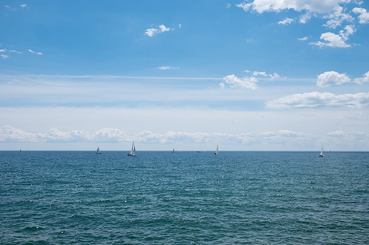 Vacker, blå, sjön, segel, segelbåt, solig dag, Toronto