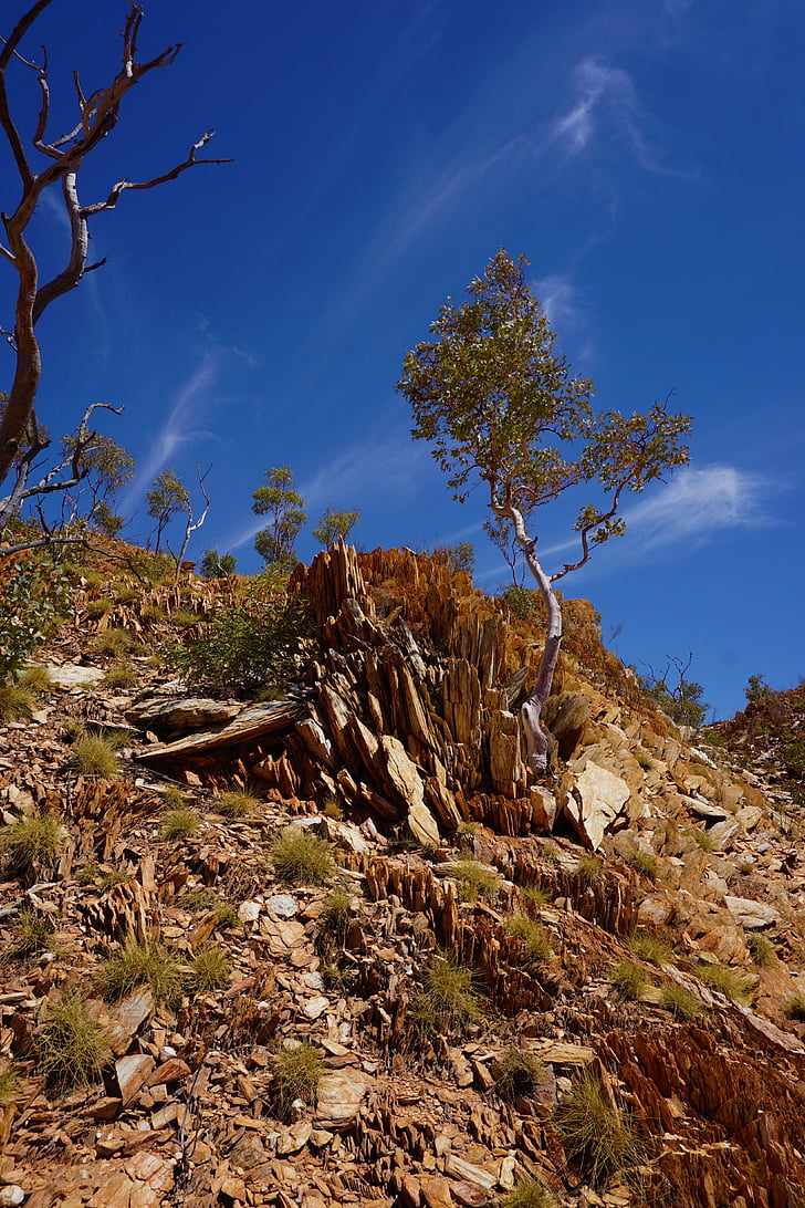Mount isa, Queensland, Urquhart břidlice, kousavý guma, Austrálie, obloha