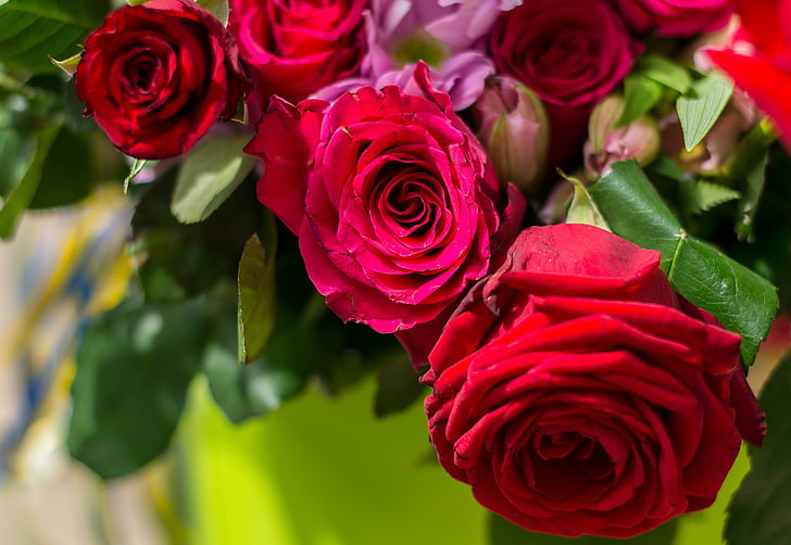 κόκκινο τριαντάφυλλο, ro, λουλούδι, φύση, τριαντάφυλλο - λουλούδι, μπουκέτο, κόκκινο