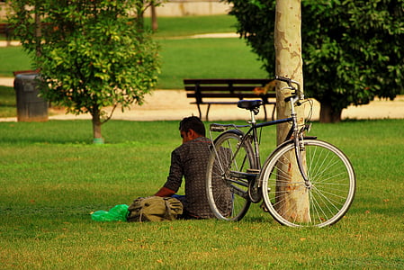 孤独, ヴァガボンド, 自転車, 公園, ガーデン, ツリー, 男