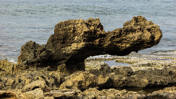 Kypr, Protaras, Rock, Krokodýl, skalnaté pobřeží