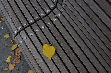 垫, 假期, 秋天, 黄色, 自然, 秋天的心情, 木材-材料