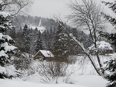 겨울, 눈, 눈 풍경, 하얀, 조 경, 트리, 자연