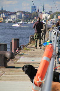 Hamburg, apa, pescar, peşte, câine, City, marco polo terassen