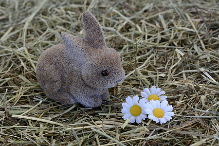 bunny, hare, easter decoration, hay, easter decor, sweet, rabbit