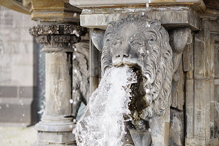 lion, water, gargoyle, fountain, water fountain, stone, water jet
