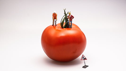 tomate, comida, vegetal, vermelho, construção, área de trabalho, Jack-martelo