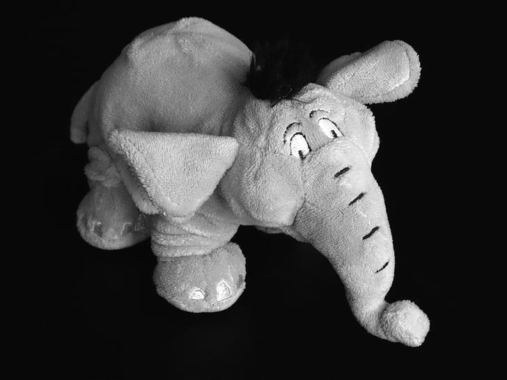elephant, pachyderm, grauhaeuter, soft toy