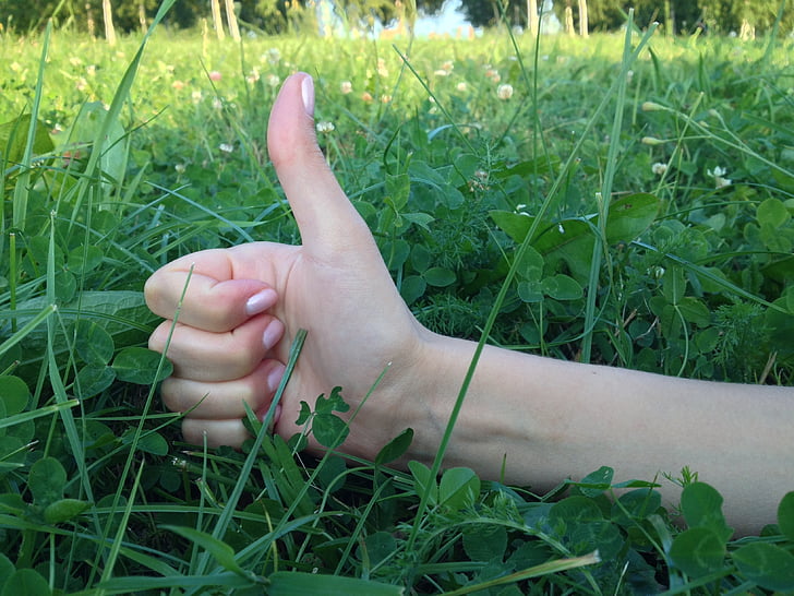 polzes cap amunt, mà de dona, signe, positiu, dit, herba, verd