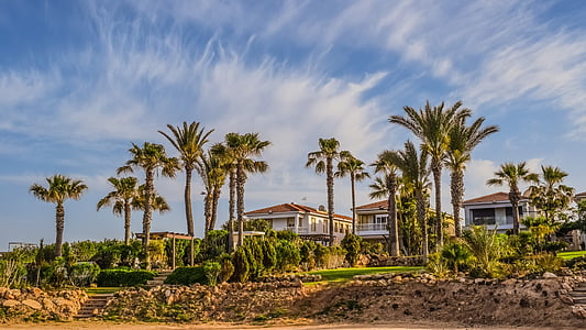 villas, property, real estate, residential, house, garden, palm trees