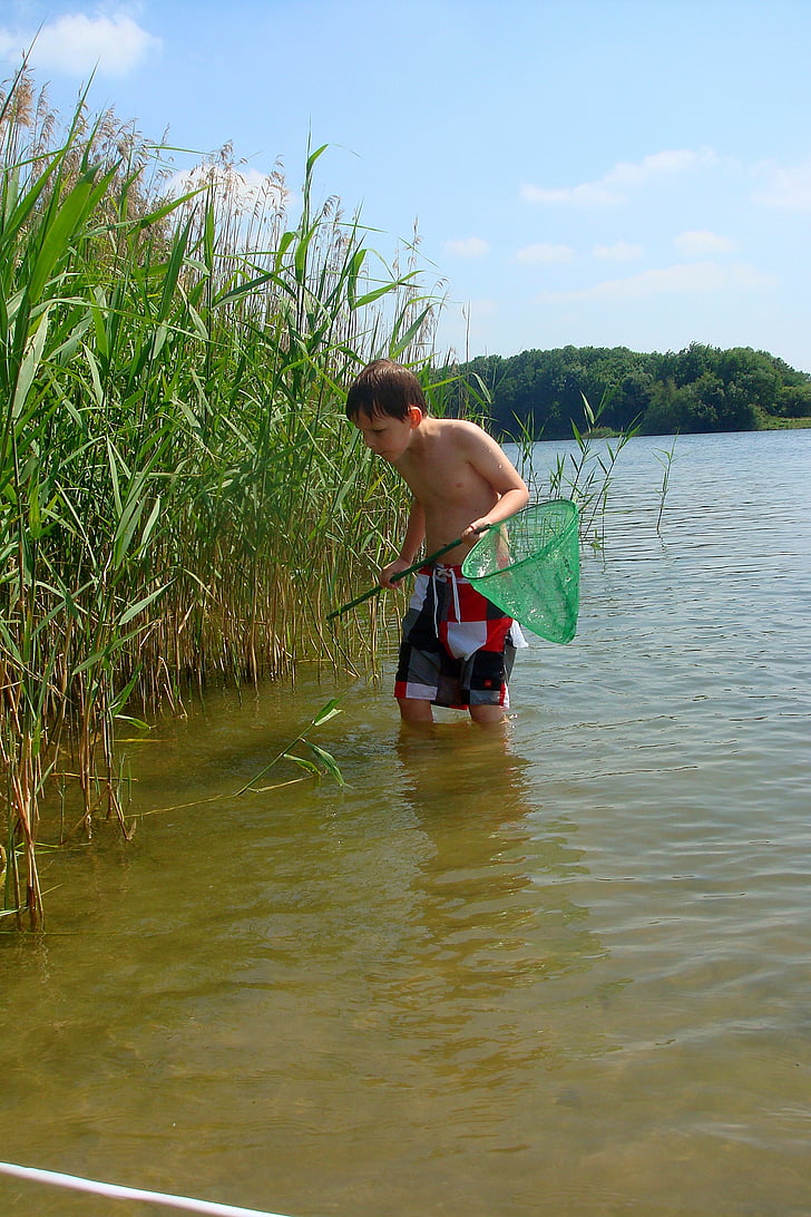 boy, fishnet, fish, reed, natural water, nature, clouds