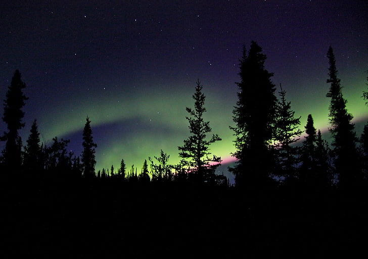 aurora borealis, northern lights, sky, night, landscape, nature, dark