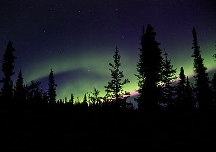 Aurora Boreal, luzes do Norte, céu, à noite, paisagem, natureza, escuro